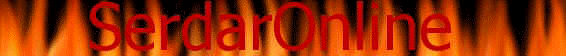 banner.jpg (12551 bytes)